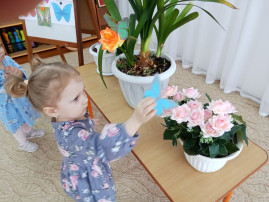 "День знаний о бабочках" "День знаний о бабочках".